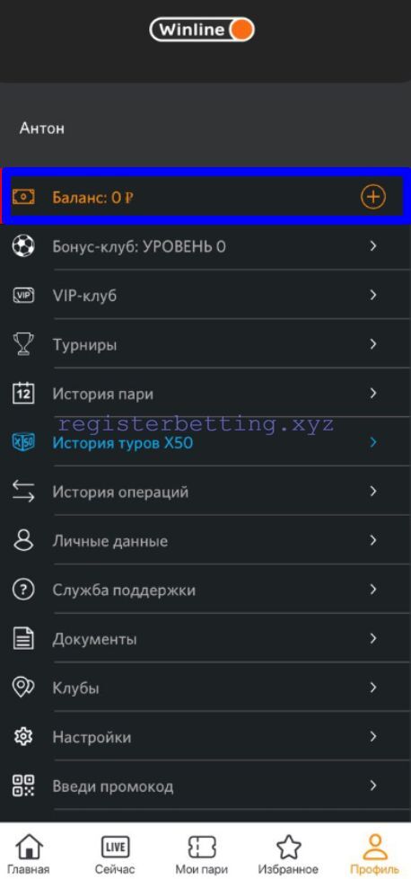 Вкладка Баланс Винлайн