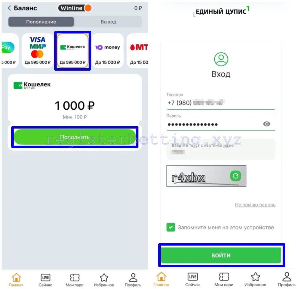 Пополнение Цупис Винлайн