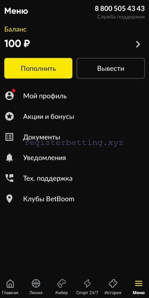 Меню в приложении Бетбум