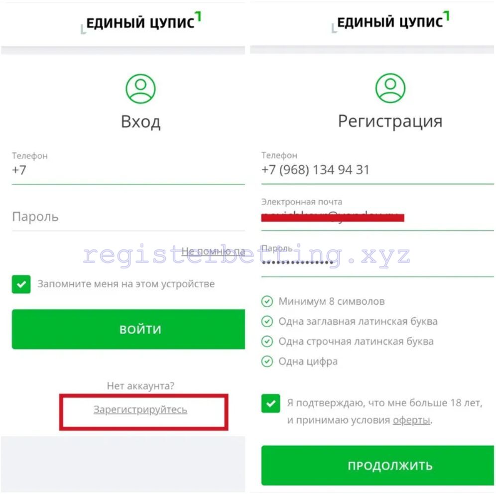 Привязка к ЦУПИС Бетсити