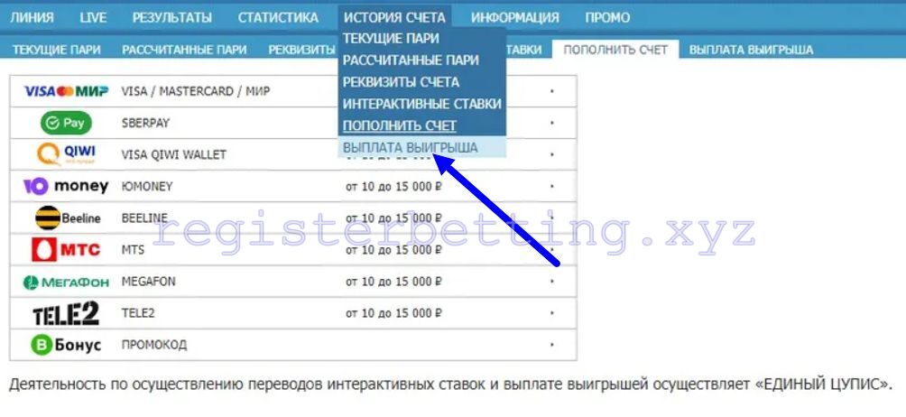 Вывод средств в Бетсити 1