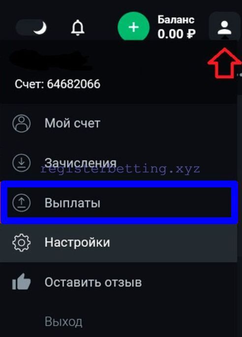 Кнопка Выплаты Леон