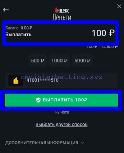 Заполнение реквизитов для выплаты Леон