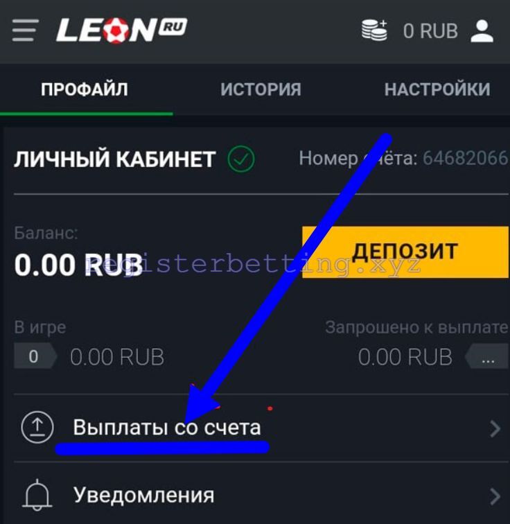 Выплаты со счета в приложении Леон