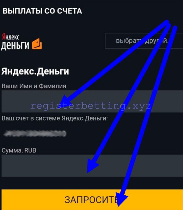Реквизиты и сумма ввода в приложении Леон