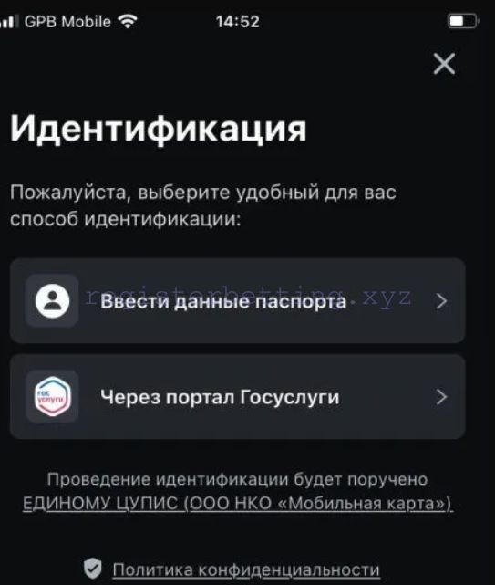 Идентификация Леон