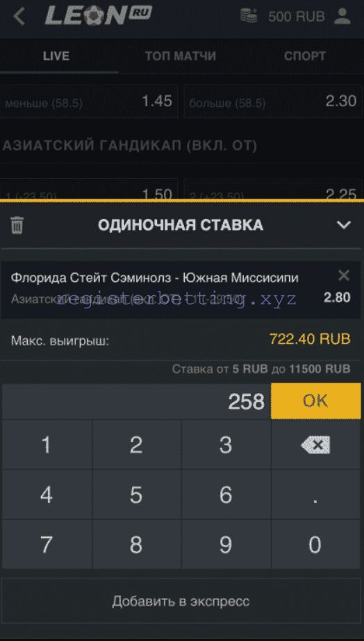 Обзор приложения Леон 6